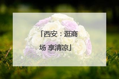 西安：逛商场 享清凉