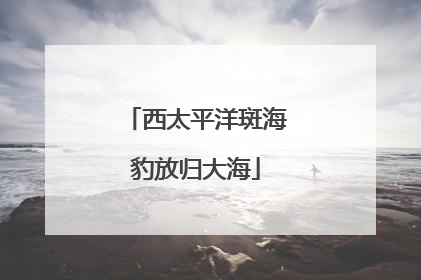 西太平洋斑海豹放归大海