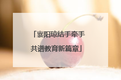 襄阳琼结手牵手 共谱教育新篇章