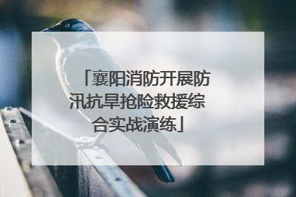 襄阳消防开展防汛抗旱抢险救援综合实战演练