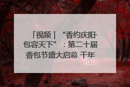视频｜“香约庆阳·包容天下”：第二十届香包节盛大启幕 千年非遗香飘世界