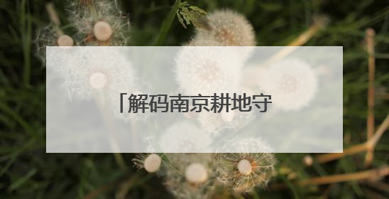 解码南京耕地守护：一码管田有方 沃土搬迁有道