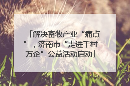 解决畜牧产业“痛点”，济南市“走进千村万企”公益活动启动