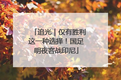 追光｜仅有胜利这一种选择！国足明夜客战印尼