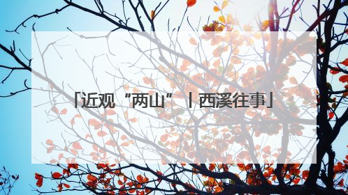 近观“两山”丨西溪往事
