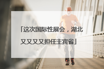 这次国际性展会，湖北又又又又担任主宾省