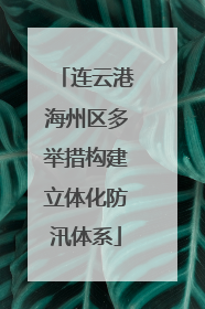连云港海州区多举措构建立体化防汛体系