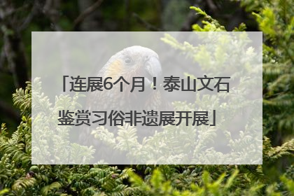 连展6个月！泰山文石鉴赏习俗非遗展开展