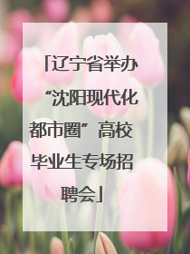 辽宁省举办“沈阳现代化都市圈”高校毕业生专场招聘会