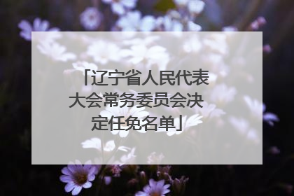 辽宁省人民代表大会常务委员会决定任免名单