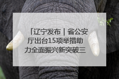 辽宁发布｜省公安厅出台15项举措助力全面振兴新突破三年行动决胜之战