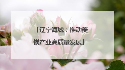 辽宁海城：推动菱镁产业高质量发展