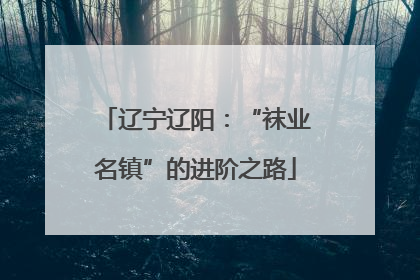辽宁辽阳：“袜业名镇”的进阶之路