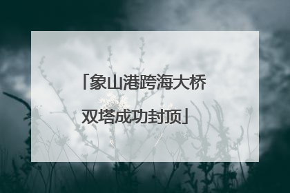 象山港跨海大桥双塔成功封顶