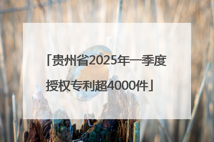 贵州省2025年一季度授权专利超4000件