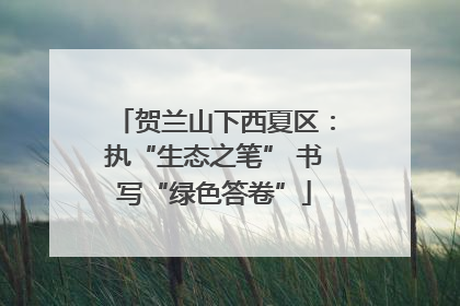 贺兰山下西夏区：执“生态之笔” 书写“绿色答卷”