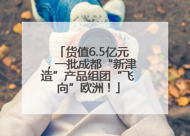 货值6.5亿元，一批成都“新津造”产品组团“飞向”欧洲！