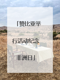 赞比亚举行活动纪念非洲日
