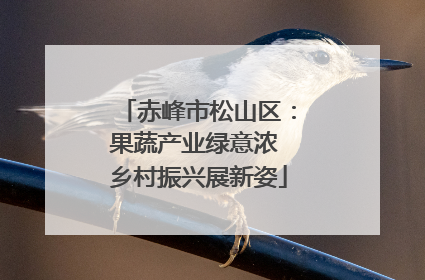 赤峰市松山区：果蔬产业绿意浓 乡村振兴展新姿