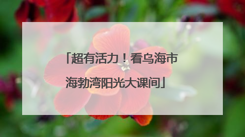 超有活力！看乌海市海勃湾阳光大课间