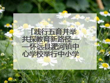 践行五育并举 共探教育新路径——怀远县淝河镇中心学校举行中小学、幼儿园班主任论坛活动