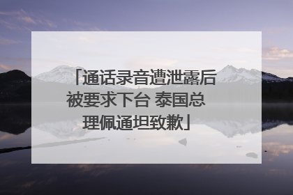 通话录音遭泄露后被要求下台 泰国总理佩通坦致歉