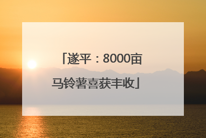 遂平：8000亩马铃薯喜获丰收