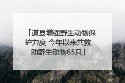 道县增强野生动物保护力度 今年以来共救助野生动物65只