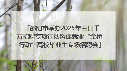 邵阳市举办2025年百日千万招聘专项行动暨促就业“金桥行动”高校毕业生专场招聘会