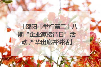邵阳市举行第二十八期“企业家接待日”活动 严华出席并讲话