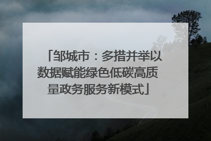 邹城市：多措并举以数据赋能绿色低碳高质量政务服务新模式