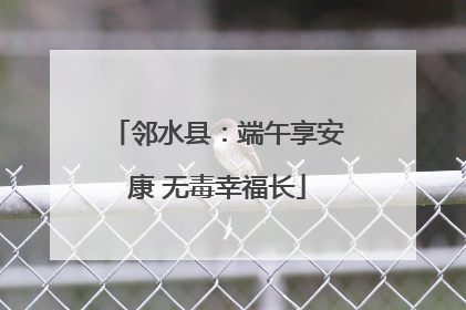邻水县：端午享安康 无毒幸福长