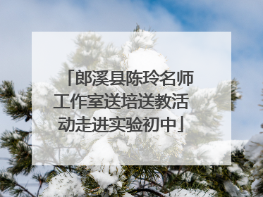 郎溪县陈玲名师工作室送培送教活动走进实验初中