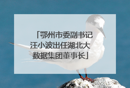 鄂州市委副书记汪小波出任湖北大数据集团董事长