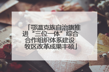 鄂温克族自治旗推进“三位一体”综合合作组织体系建设 牧区改革成果丰硕