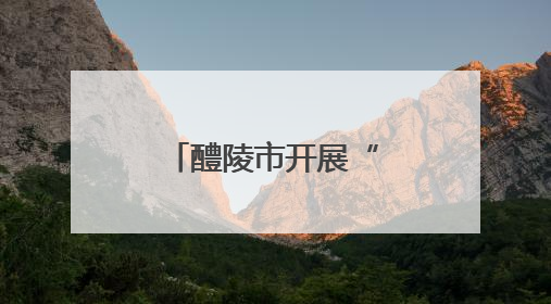 醴陵市开展“放心农资下乡”宣传周活动