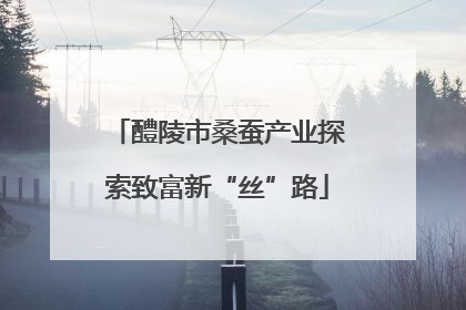 醴陵市桑蚕产业探索致富新“丝”路
