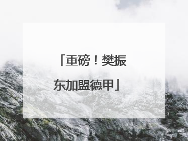 重磅！樊振东加盟德甲