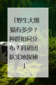 野生大熊猫有多少？种群如何分布？科研团队实地探秘