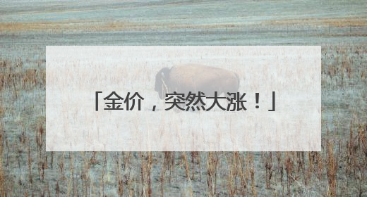 金价，突然大涨！