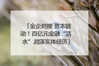 金企对接 资本链动！百亿元金融“活水”润泽实体经济