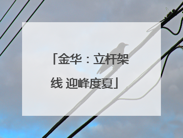 金华：立杆架线 迎峰度夏