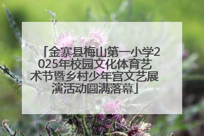 金寨县梅山第一小学2025年校园文化体育艺术节暨乡村少年宫文艺展演活动圆满落幕