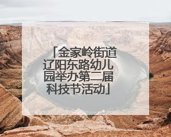 金家岭街道辽阳东路幼儿园举办第二届科技节活动