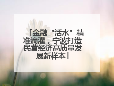 金融“活水”精准滴灌，宁波打造民营经济高质量发展新样本