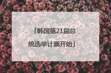 韩国第21届总统选举计票开始