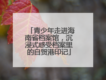 青少年走进海南省档案馆，沉浸式感受档案里的自贸港印记