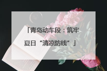 青岛动车段：筑牢夏日“清凉防线”