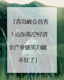 青岛峰会首秀！山东低空经济全产业链实力藏不住了