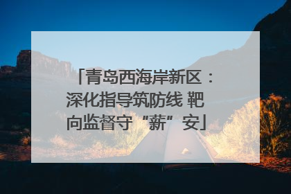 青岛西海岸新区：深化指导筑防线 靶向监督守“薪”安